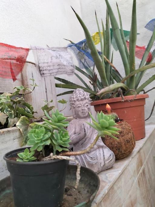 Appartamento Casa Marta Cagliari Esterno foto